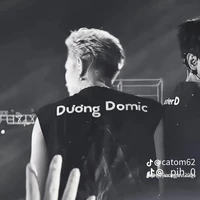 Dương Domic