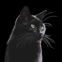Kukuru [Cat]
