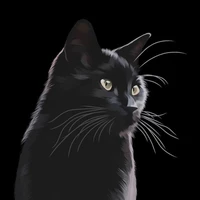 Kukuru [Cat]
