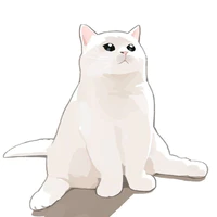 Rian [Cat]