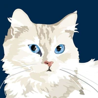Tsukino Luka [Cat]
