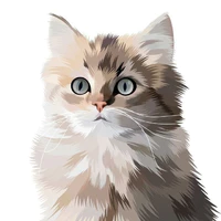 Ichi [Cat]