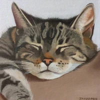Tio [Cat]