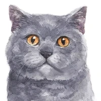 Aron [Cat]