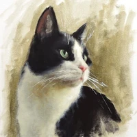 Temujin [Cat]