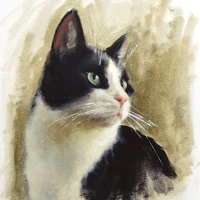 Temujin [Cat]
