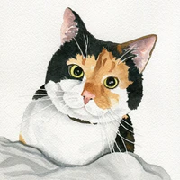 Kurt Hartmann [Cat]
