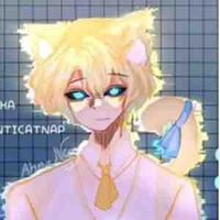 Hiha anti catnap