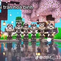 TTHB