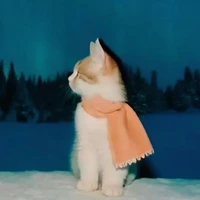 Tác giả lười😔