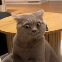 nhỏ tác giả xàmlol