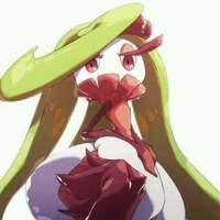 Amajo(Mao)