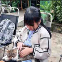 Thảo