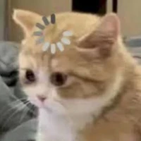 những người có mặt