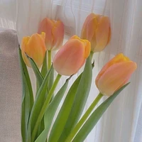 All