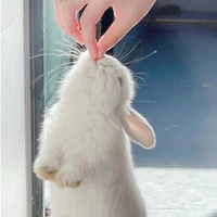 Jinnie