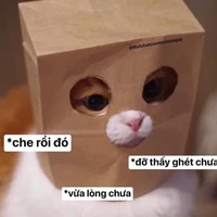 NPC