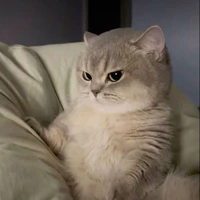 T/g