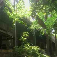 𝐀𝐮𝐭𝐡𝐨𝐫☆