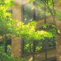 𝐍𝐡𝐚̂𝐧_𝐯𝐚̣̂𝐭_𝐩𝐡𝐮̣ ☆