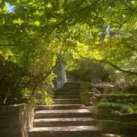 𝐍𝐡𝐚̂𝐧_𝐯𝐚̣̂𝐭_𝐩𝐡𝐮̣ ☆