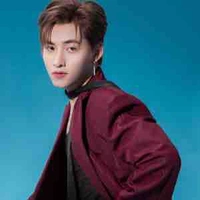 Huỳnh Hoàng Hùng (Gemini)