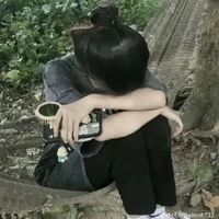Bảo Trà