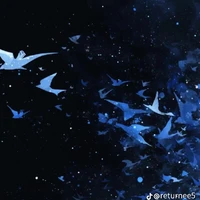 all ( Trừ....)