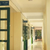 tập thể  lớp 10a11