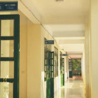 tập thể  lớp 10a11