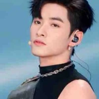 Huỳnh Hoàng Hùng-Gemini