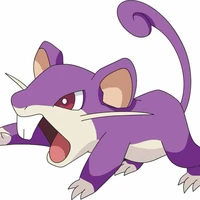 Rattata