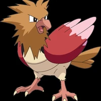 Spearow