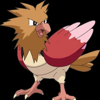 Đàn Spearow