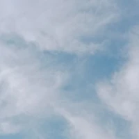 Người trợ giúp/hệ thống dẫn dắt. ⚙️