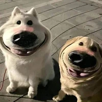 T/giả đáng iu