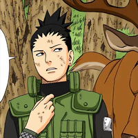 Nara Shikamaru 