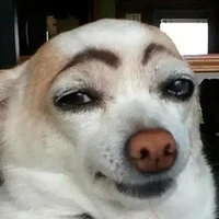 con này thích ngọt