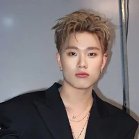 Dương Domic