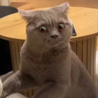 Nhỏ tác giả xàmlol