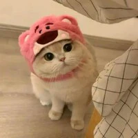 hệ thống 1206 [mirasu]
