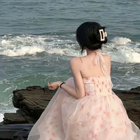 Hồng Anh<Em họ của Cap>