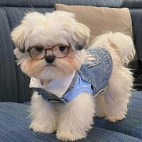 con chó của bà tám