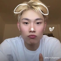 dương domic
