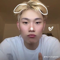 dương domic