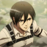 Mikasa ackerman