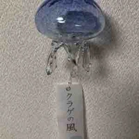 Văn Gia Nguyệt [ Mẹ ] - Luật Sư -