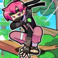 Ninjja