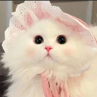 Hệ thống [Miu]