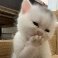 t/g
